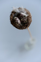 Miniature bird nest on a stick in a vase
