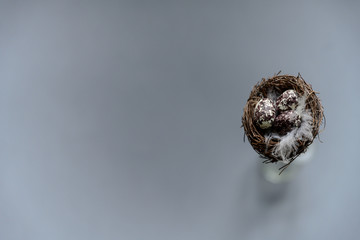 Miniature nest with 3 eggs and feathers