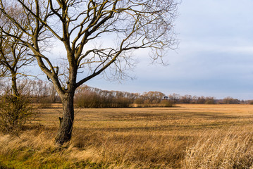 Fototapeta premium Rzeka Biebrza w Goniądzu, Biebrzański Park Narodowy, Podlasie, Polska
