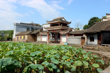 lotus flower pond in an old village