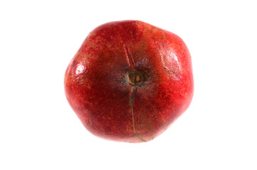pomegranate isolated on white background