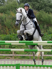 Showjumping Horse