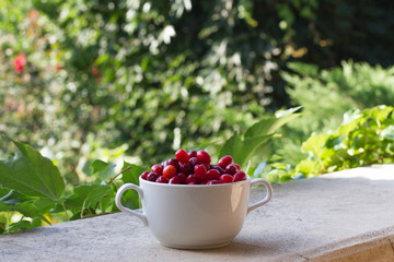 Dogwood is a sweet and sour red fruit. medicinal plant. ripe berries background vitamin. Dogwood on the background of the garden in a plate with space for text. The concept of healthy 