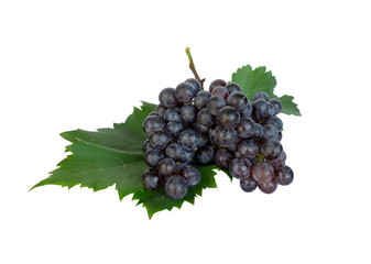 A bunch of fresh dark black ripe grape on green leaves isolated die cut photo on white background with clipping path
