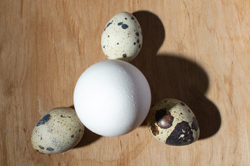 chicken egg quail eggs on a tree close-up, copy space