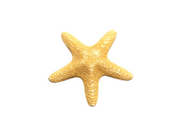 Fototapeta na wymiar Yellow starfish isolated on white background