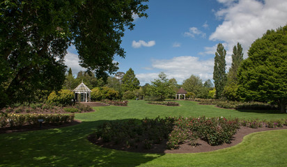 Fototapeta na wymiar Botanic garden Hamilton New Zealand Arbor