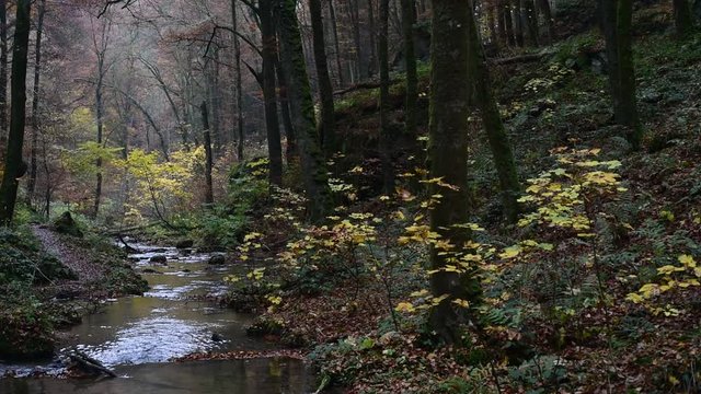 Panning shot of water flowing over rocks in babbling brook in forest