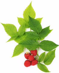 Red raspberries with green leaves isolated on white background. Top view. Close-up.