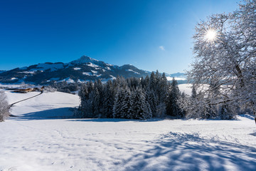 Kitzbühler Horn in Winterlandschaft mit Schnee und Wald