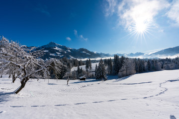 Fototapeta na wymiar Kitzbühler Horn in Winterlandschaft mit Schnee und Wald