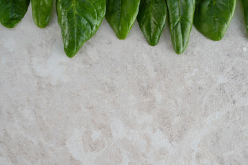 Fresh green spinach leaves, healthy food, copy space.