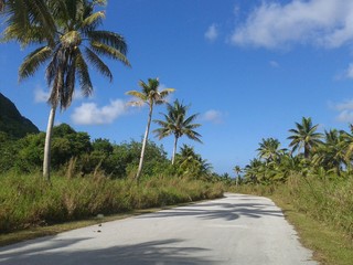 Fototapeta premium Scenic road winding around the idyllic island of Rota, Northern Mariana Islands.
