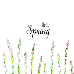 Hand drawing art asparagus watercolor illustration