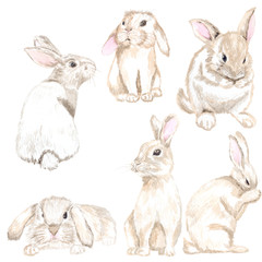 Watercolor set of cute rabbits. Suitable for the design of printing, textile products, souvenir products, patterns for embroidery, decoupage, scrapbooking and much more.