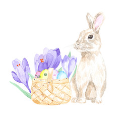 Watercolor cute rabbit with easter basket of eggs and crocus flowers. Perfect in the design of cards, invitations, textiles. Also used in decoupage, scrapbooking and other creative projects.