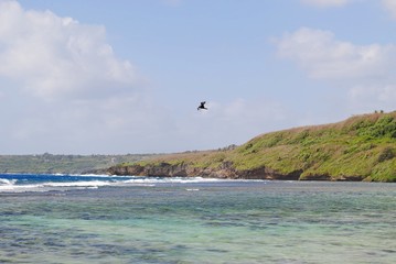 Obraz premium Blue and green waters of Lau Lau Bay, Saipan, with a small bird flying above.