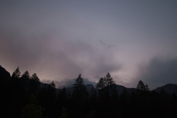 After sunset blue hour forest