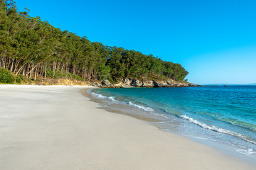 Playa virgen nudista de Figueiras sin gente cielo azul claro y bosque detrás