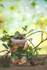 Easter zero waste, environmentally eco friendly packaging craft for eggs handmade, gift basket, cozy religious holiday Easter, environmental concept eco friendly banner decor