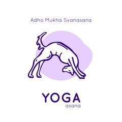 Vector illustration with funny dog in a yoga pose Adho Mukha Svanasana 