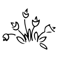 Tulip icon. Vector illustration of spring tulip flower. Hand drawn spring tulip.