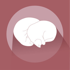 Two white cats sleeping together on the round carpet. Flt style. Graphic design. Might be used for wallpapers, magazines, posters, logos, etc.