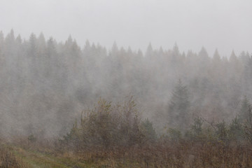  Mystic cloudy and foggy autumn Carpathian Mountains. mountain slopes scene. Natural wallpapers, autumn Carpathian slopes. Unique natural and weather moments.
