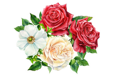 bouquet of flowers red and white roses, anemone on an isolated white background, watercolor painting, botanical illustration