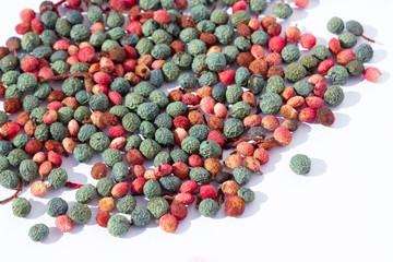 Pistacia terebinthus, Fruits of Terebinth