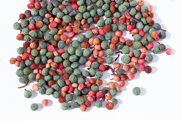 Pistacia terebinthus, Fruits of Terebinth