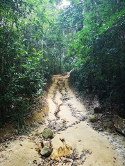 Dschungelabenteuer - wandern im tropischen Regenwald, Thailand