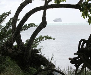 Fototapeta premium Silhouette of trees on a rainy day at the beach, with a ship in the distance