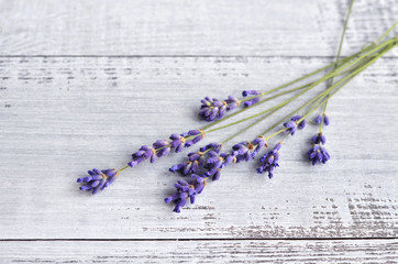 Bunch of fresh natural lavender flowers on old rustic wooden table