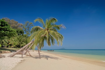 view seaside of a coconut tree on white sand beach with blue-green sea and blue sky background, Ko Bulon Le island, Satun Province, southern of Thailand.