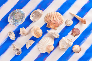 Colorful sea shells of various shapes on a background of blue, white, marine, Greek stripes
