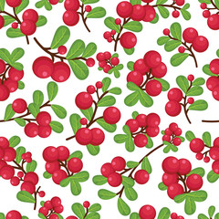 Vector beautiful cranberries twing seamless pattern background on white surface