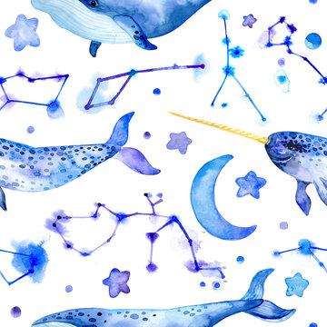 Sea constellations. Stars. Moon. Blue whale and narwhal.