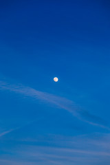lonely moon during the blue hour