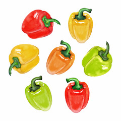 Set of watercolor bell peppers (sweet paprika) in various colors. Realistic hand drawn elements for design isolated on white background. Fresh vegetables. Healthy vegetarian and vegan food theme.