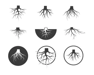 Fotobehang tree roots vector icon illustration design © sangidan
