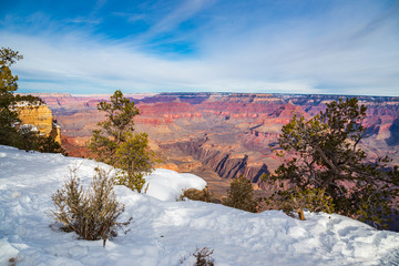 Snow on the Grand Canyon south rim on a sunny day of winter