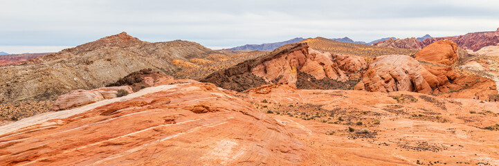 Fototapeta na wymiar Red and white rocks & desert of Valley of Fire in Nevada, USA