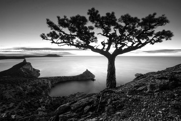 Sunrise over the Black sea. Monochrome colors