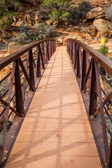 Fototapeta na wymiar Wooden bridge and scenery in Zion National Park during winter