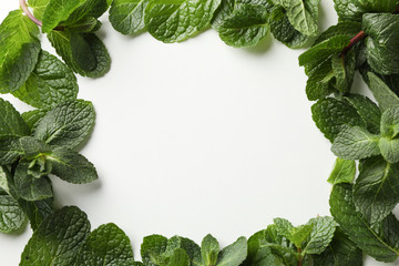 Fresh mint on white background, space for text