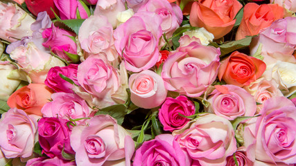 Background of bouquets of flowers. Roses. Design. Close up.