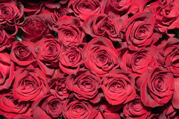 Background of bouquets of flowers. Roses. Design. Close up.