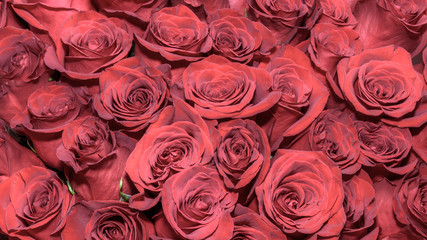Background of bouquets of flowers. Roses. Design. Close up.