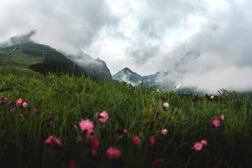 Obraz premium Misty High Tatras mountains during summer in Slovakia